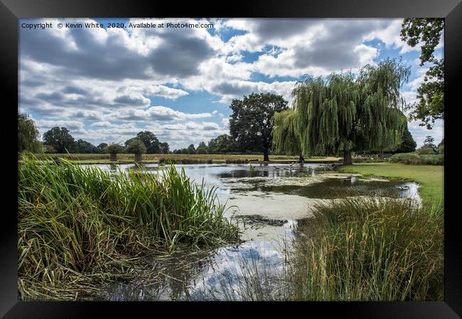 Large pond Bushy Park Framed Print by Kevin White