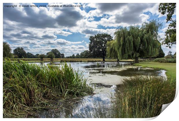 Large pond Bushy Park Print by Kevin White