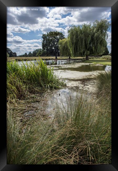 Bushy Park Lake Framed Print by Kevin White