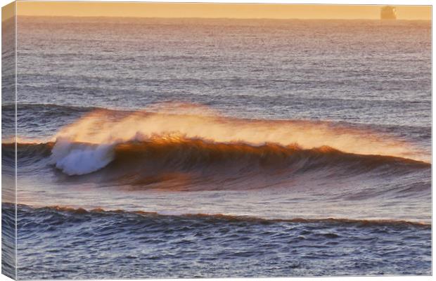 Wave Breaking in the Morning Sun Canvas Print by Jeremy Hayden