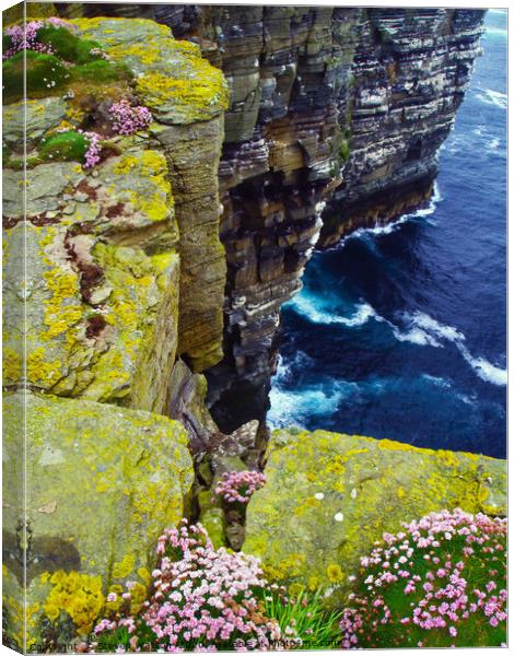 At Noup Head Canvas Print by Steven Watson