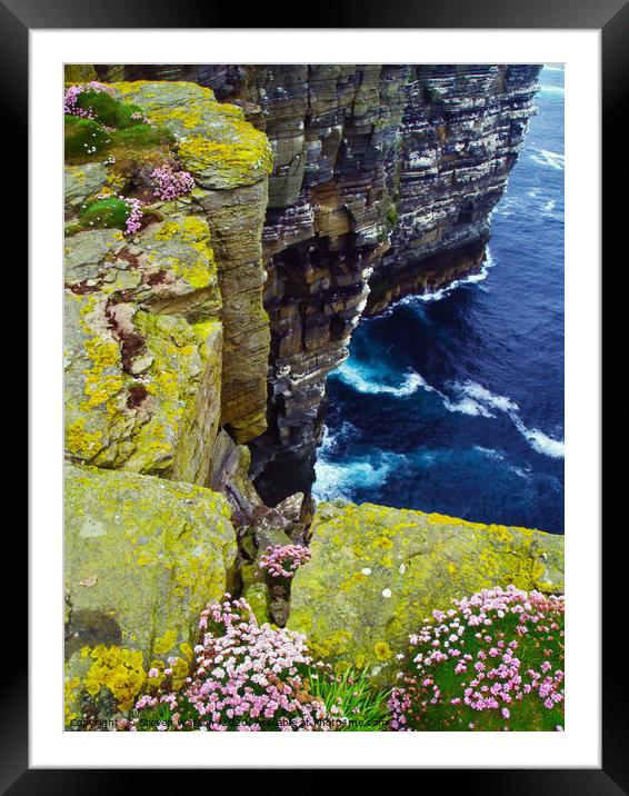 At Noup Head Framed Mounted Print by Steven Watson