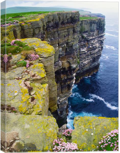 Noup Head Cliff Tops Canvas Print by Steven Watson