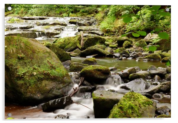 ROCKS AND WATER Acrylic by andrew saxton