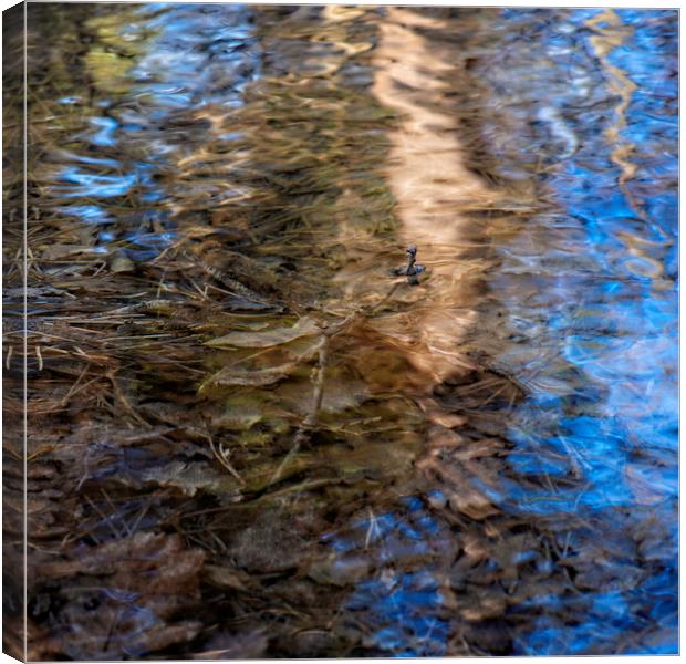Rippling Tree 3 Canvas Print by Jean Gill