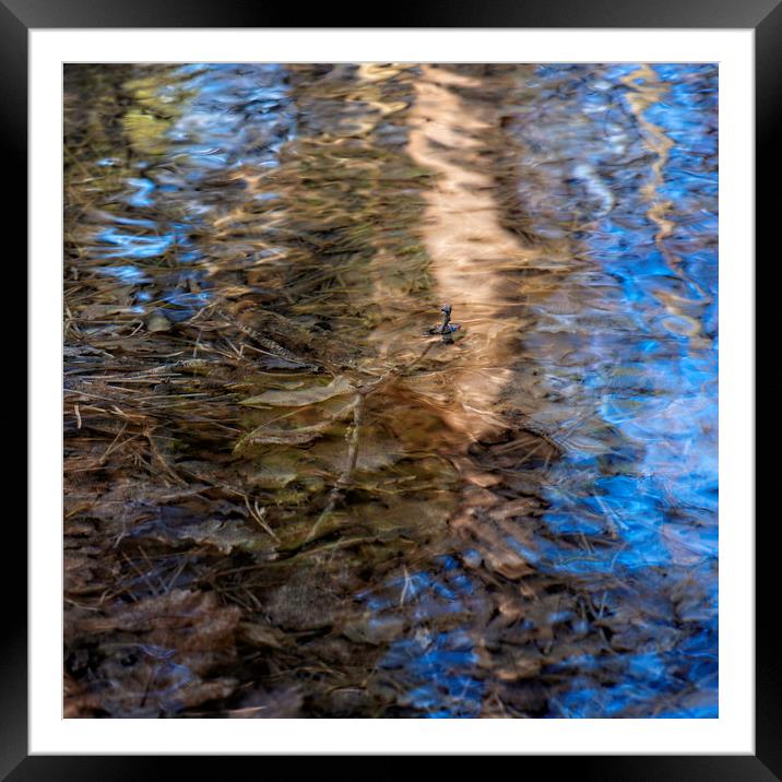 Rippling Tree 3 Framed Mounted Print by Jean Gill