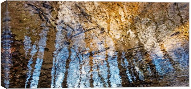 Rippling Trees 3 Canvas Print by Jean Gill