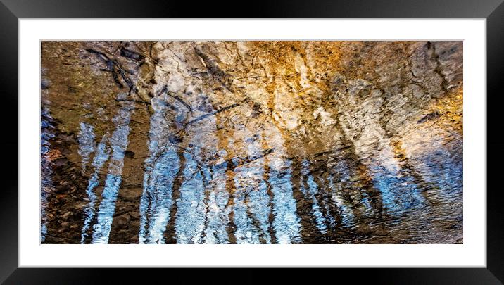 Rippling Trees 3 Framed Mounted Print by Jean Gill