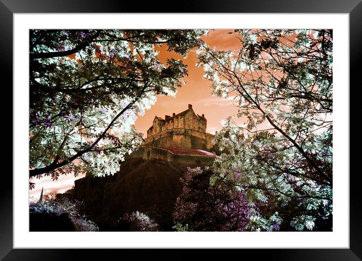 Edinburgh Castle through the trees Framed Mounted Print by Philip Hawkins