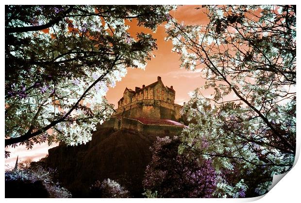 Edinburgh Castle through the trees Print by Philip Hawkins