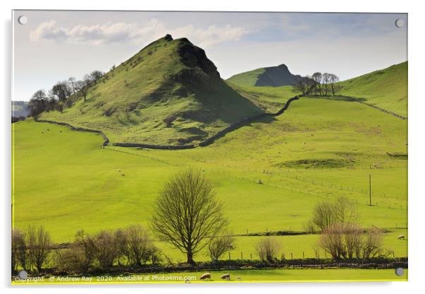 Parkhouse and Chrome Hills Acrylic by Andrew Ray