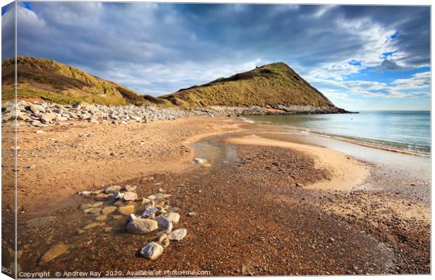 Worbarrow Tout Canvas Print by Andrew Ray