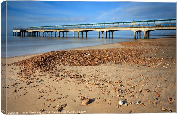 Boscombe Pier Canvas Print by Andrew Ray