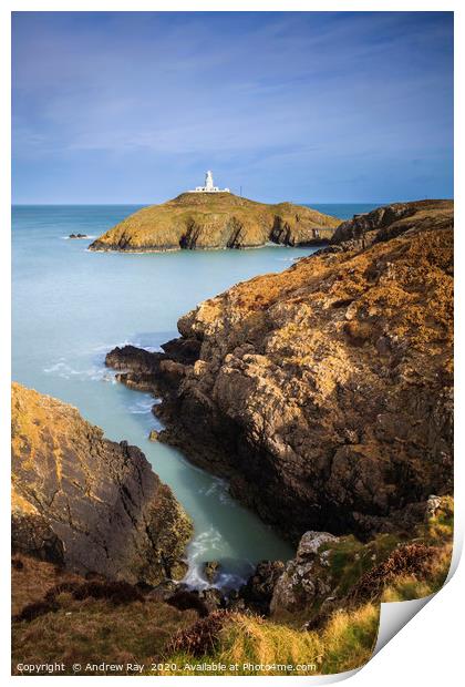 Strumble Head Lighthouse  Print by Andrew Ray