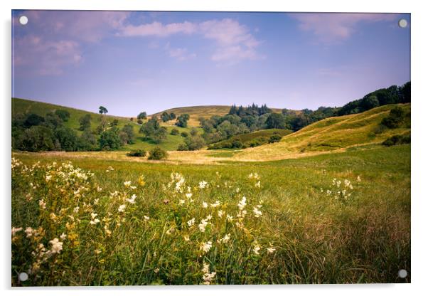 North Yorkshire landscape Acrylic by Svetlana Sewell