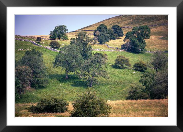 North Yorkshire landscape Framed Mounted Print by Svetlana Sewell