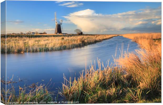 Mutton's Drainage Mill Canvas Print by Andrew Ray