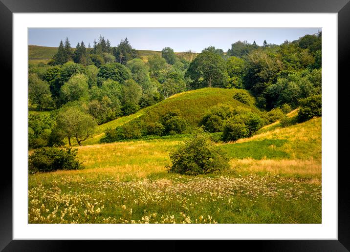 Yellow Meadow Framed Mounted Print by Svetlana Sewell