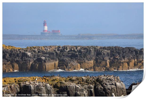 Longstone Lighthouse Print by Andrew Ray