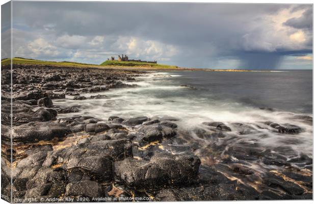 Approaching storm at Dunstanburgh Canvas Print by Andrew Ray