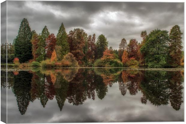 Conifers reflection Canvas Print by Tim Smith