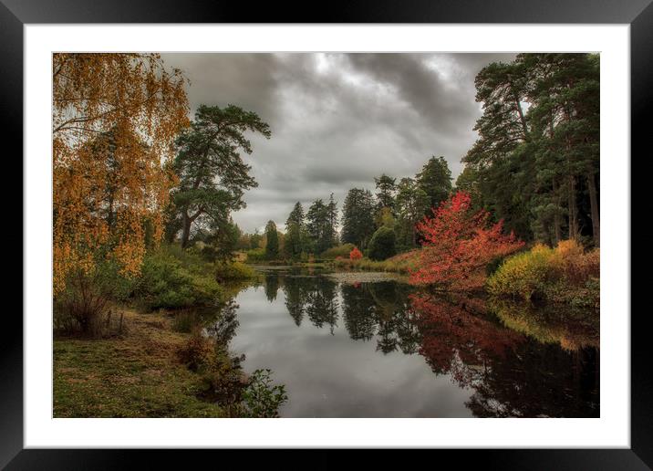 Autumnal trees Framed Mounted Print by Tim Smith