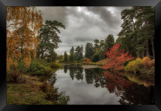Autumnal trees Framed Print by Tim Smith