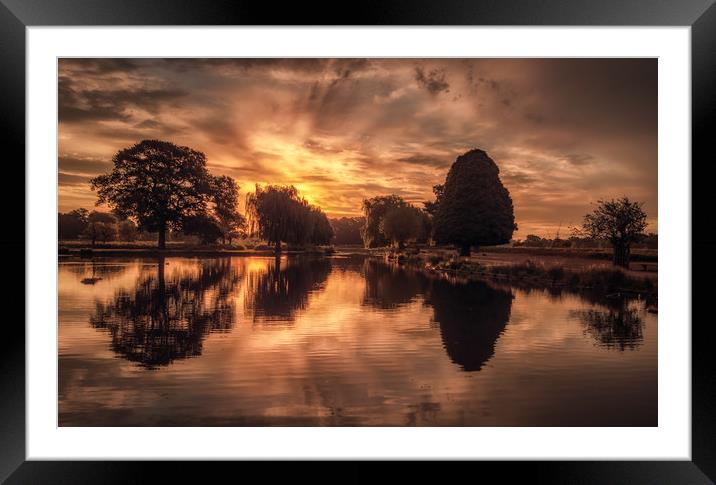 Bushy Park Sunrise Framed Mounted Print by Tim Smith