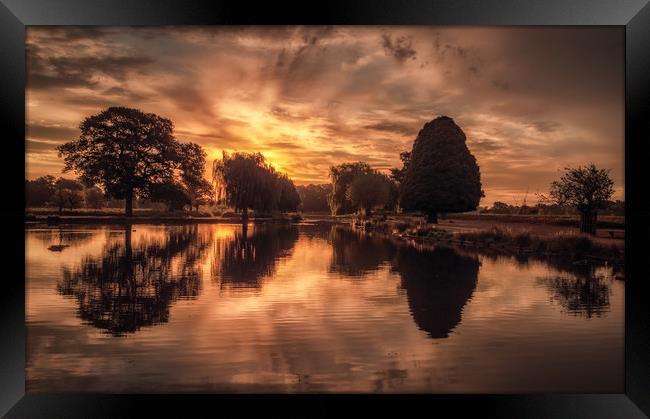 Bushy Park Sunrise Framed Print by Tim Smith
