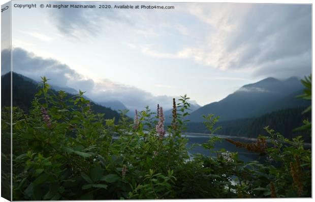 A very nice place Taken at Cleveland Dam,Vancouver Canvas Print by Ali asghar Mazinanian