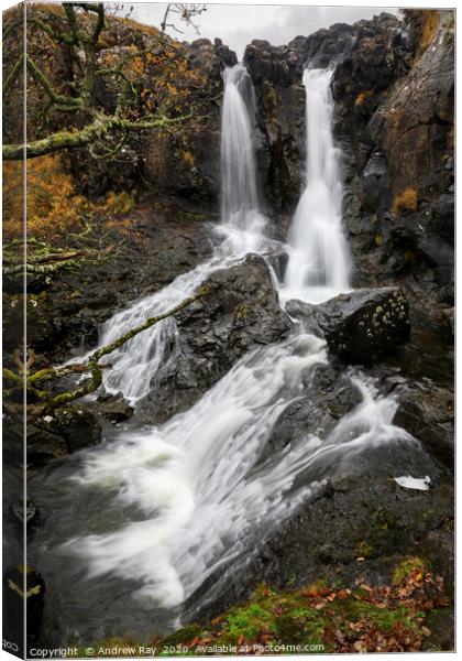 Eas Fors Waterfall (Isle of Mull) Canvas Print by Andrew Ray