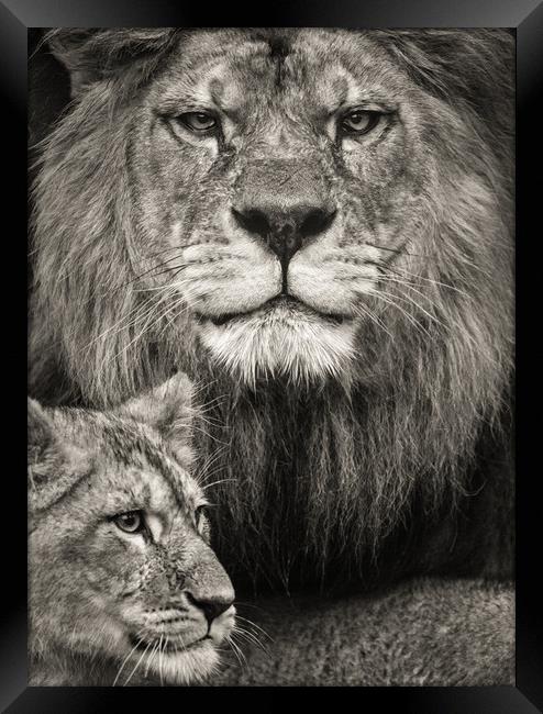 A Fathers love. Framed Print by Tim Smith