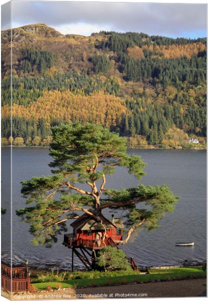 Tree house (Loch Goil) Canvas Print by Andrew Ray