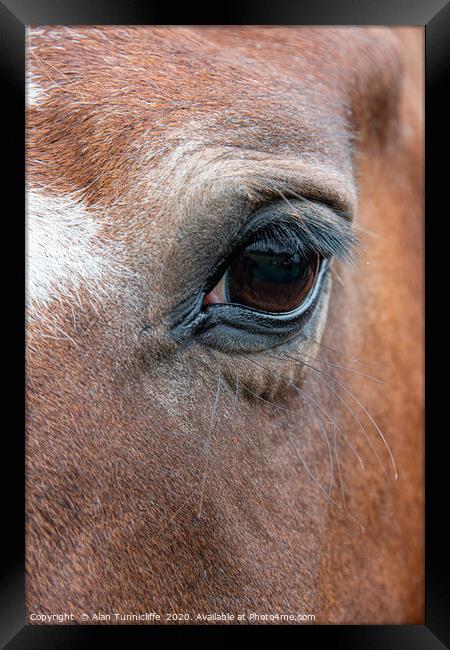 Very close up of the eye of a horse Framed Print by Alan Tunnicliffe