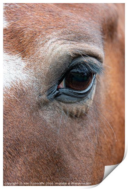 Very close up of the eye of a horse Print by Alan Tunnicliffe