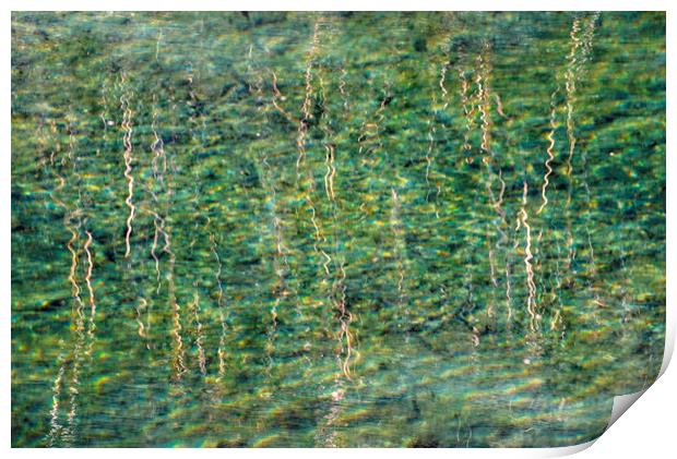 Golden Reflections Print by Jean Gill