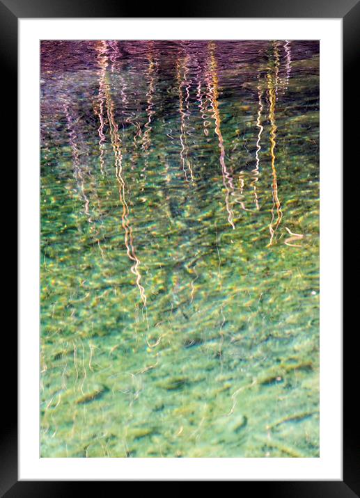 Rippling Reeds 1 Framed Mounted Print by Jean Gill