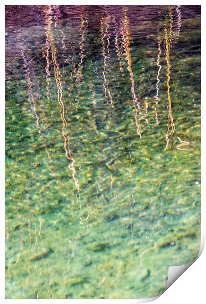 Rippling Reeds 1 Print by Jean Gill