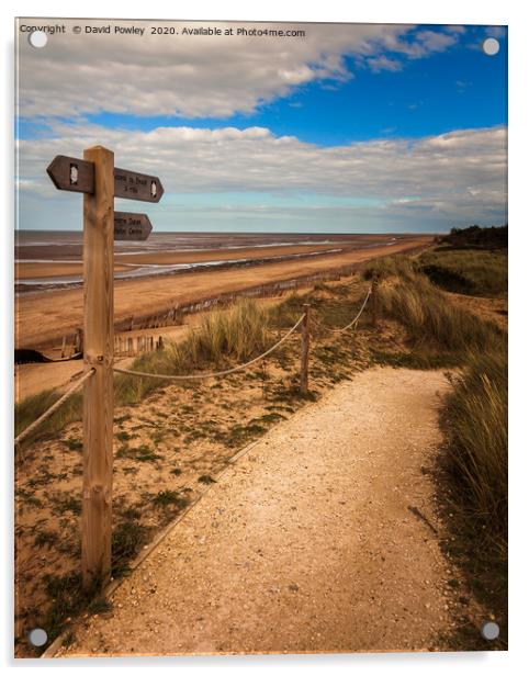 North Norfolk coastal path at Holme Acrylic by David Powley