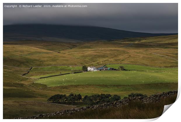 Peghorn in the Spotlight Print by Richard Laidler