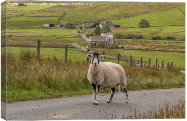 The Harwood Horn Section Canvas Print by Richard Laidler