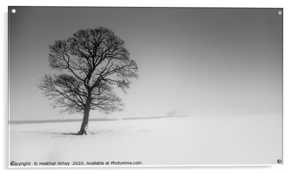 Winter Stillness Acrylic by Heather Athey