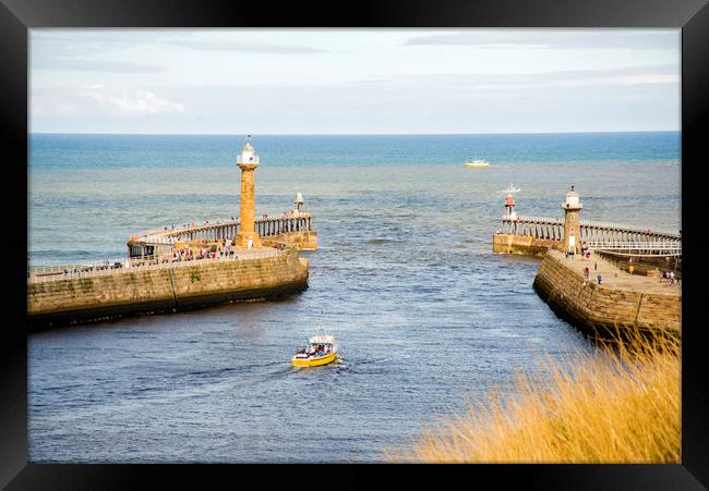 Whitby Lighthouses Framed Print by Andy Heap