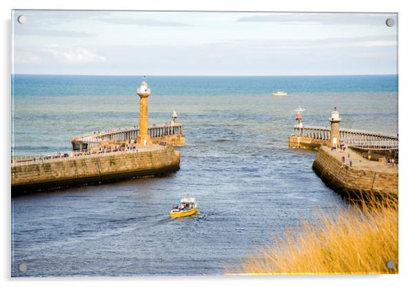 Whitby Lighthouses Acrylic by Andy Heap