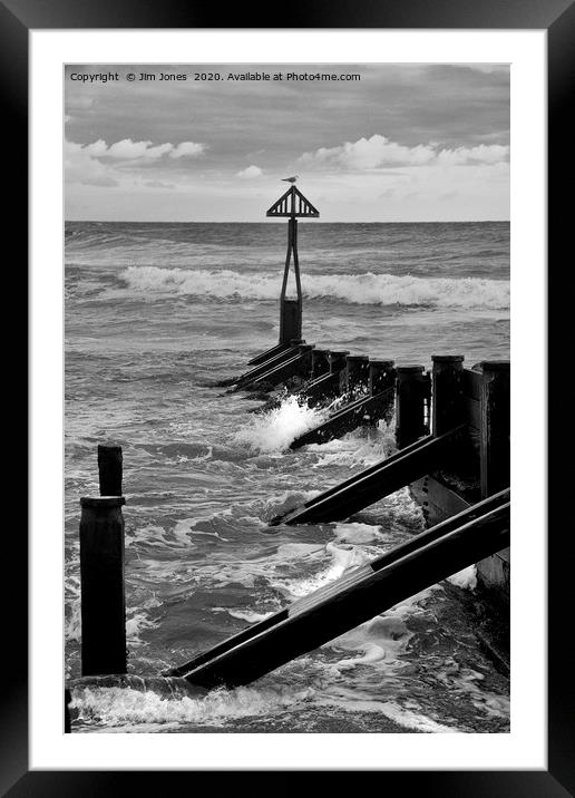 The Groyne at Seaton Sluice in Black and White Framed Mounted Print by Jim Jones