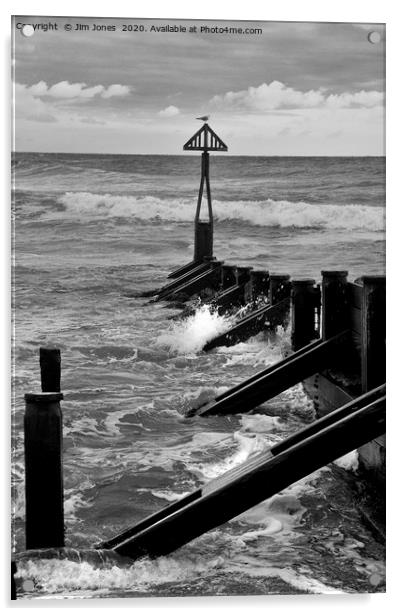 The Groyne at Seaton Sluice in Black and White Acrylic by Jim Jones
