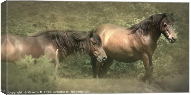 Out From The Bracken Canvas Print by Graeme B