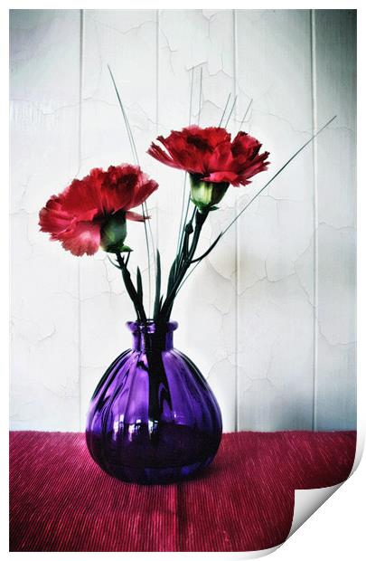 Red Flowers in Purple Vase Print by Simon Gladwin