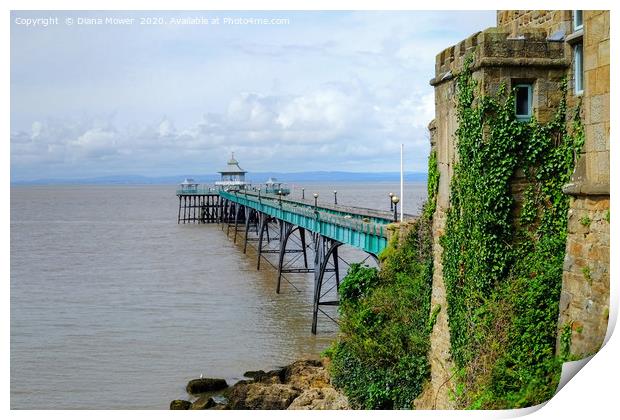 Clevedon Pier Somerset Print by Diana Mower