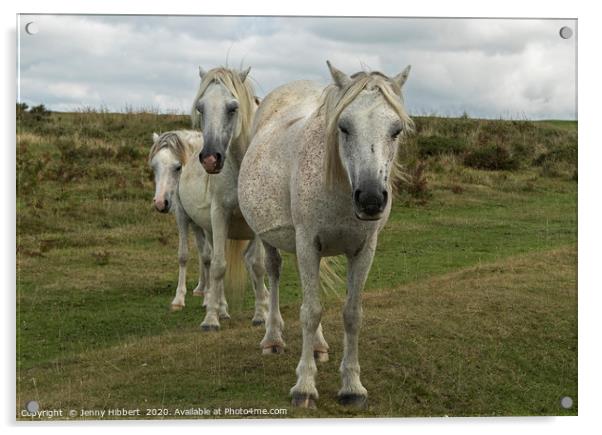 Three White horses on the Gower Peninsular Acrylic by Jenny Hibbert